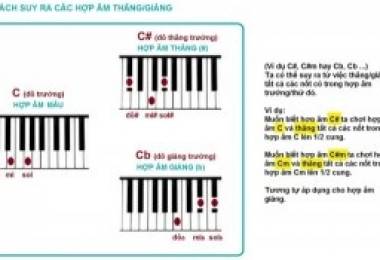 14 hợp âm cơ bản đủ “sài” trên Piano- Piano Hà Nội